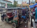 Assam (5)
