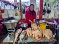 Arunachal Pradesh (49)