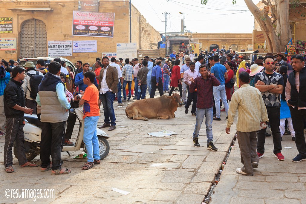 RJ_086.jpg - Jaisalmer, Rajasthan