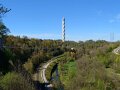 Rottweil (50)