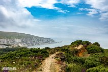 Isle of Wight (36)