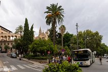 Mallorca (147)
