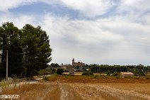 Mallorca (182)