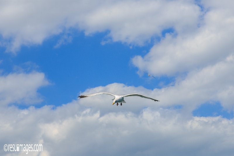 iow_110.jpg - Isle of Wight