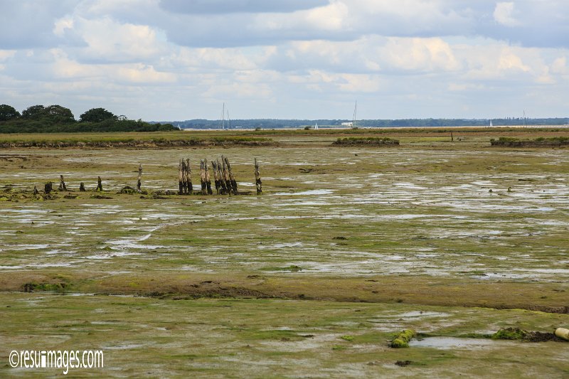 iow_194.jpg - Isle of Wight