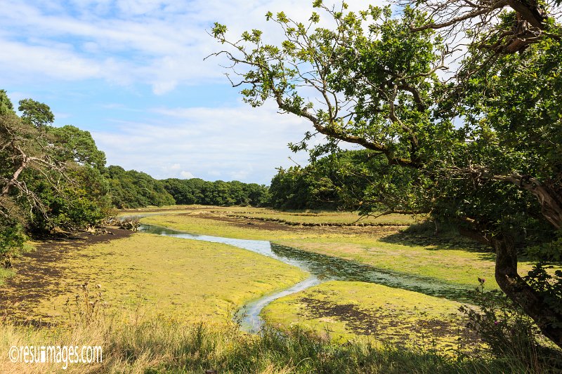 iow_199.jpg - Isle of Wight