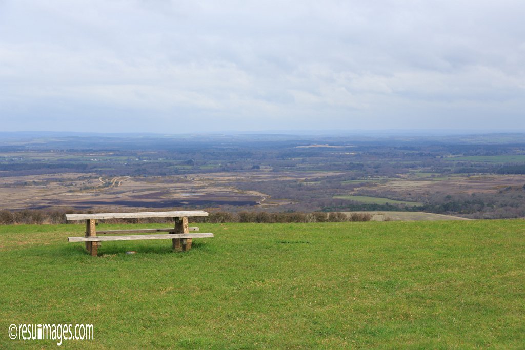 ds_017.jpg - Dorset, England