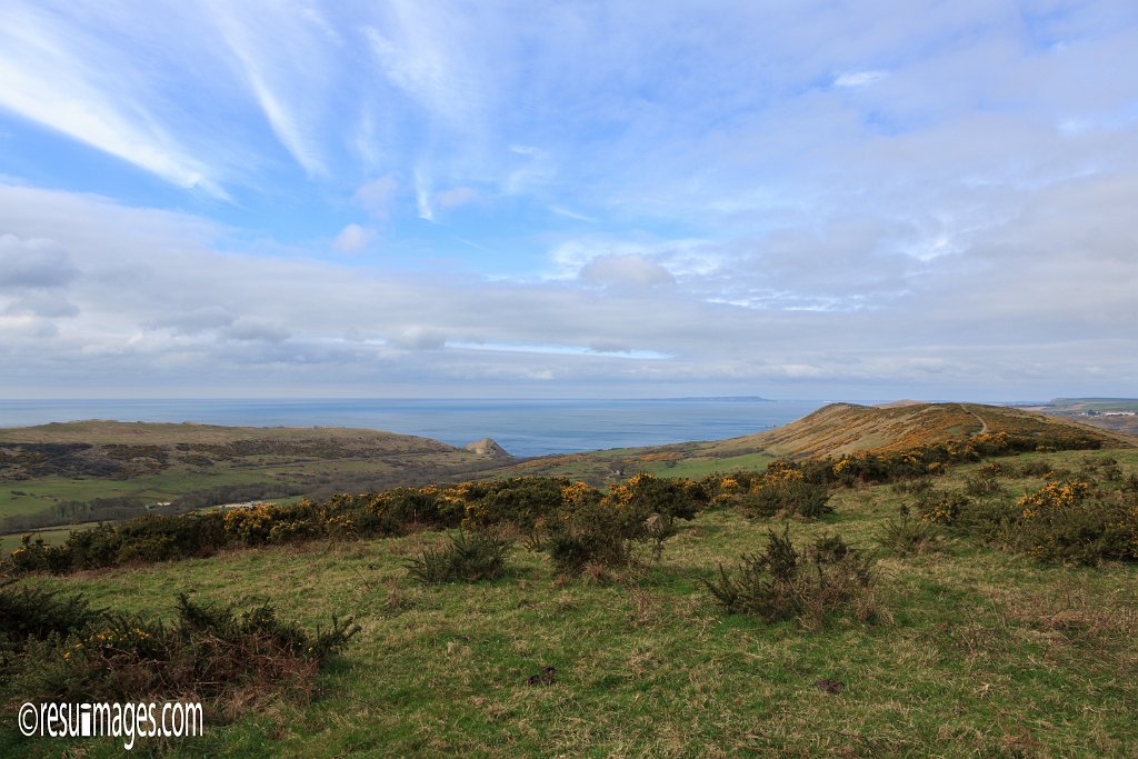 ds_020.jpg - Dorset, England