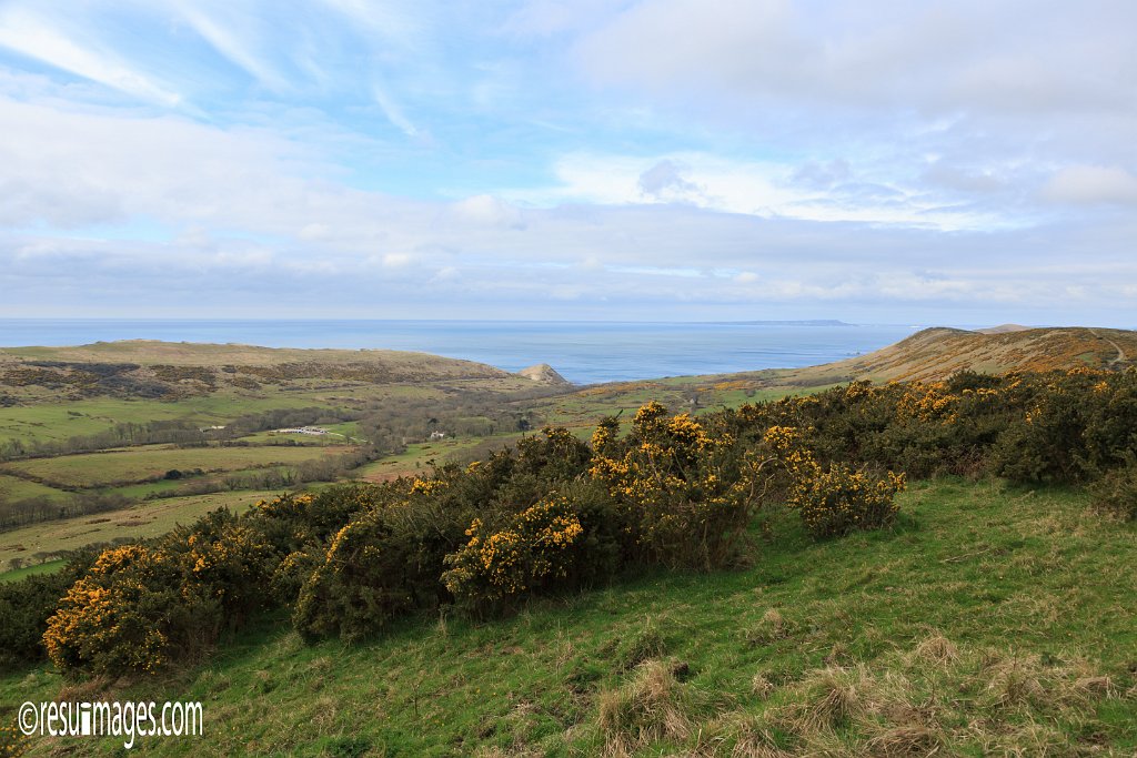 ds_023.jpg - Dorset, England