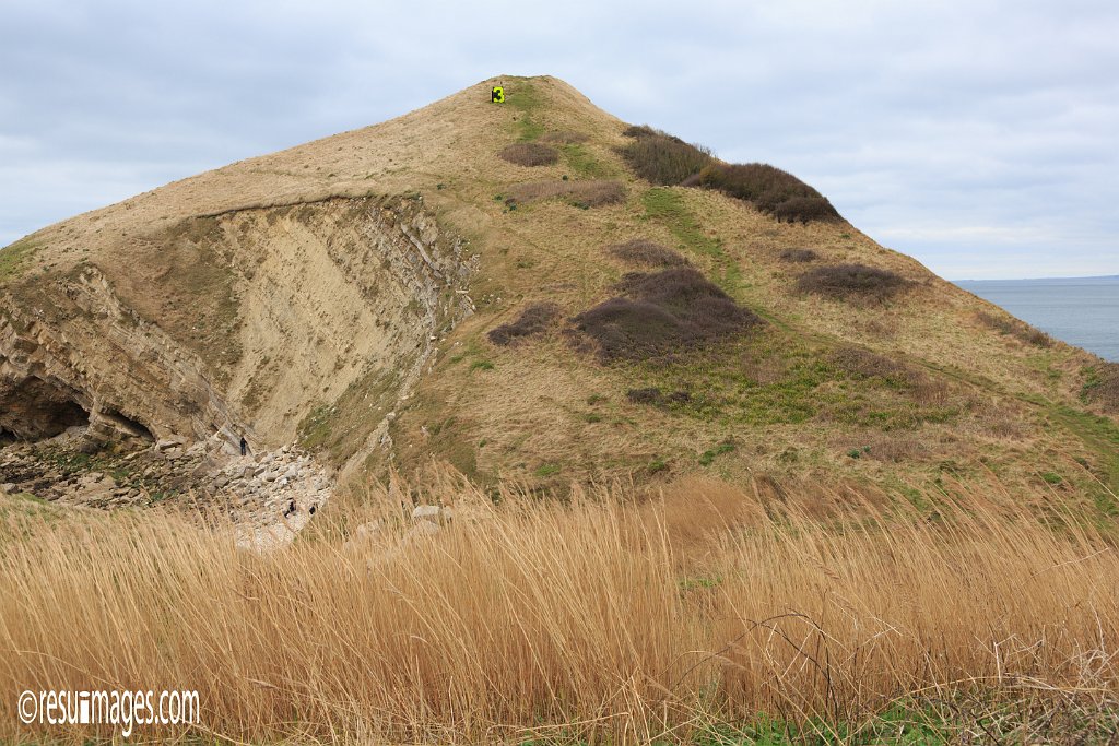 ds_039.jpg - Dorset, England