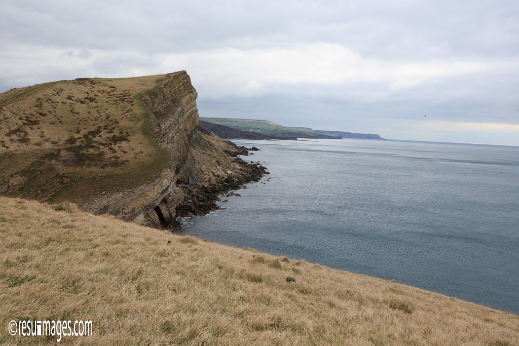 ds_043.jpg - Dorset, England