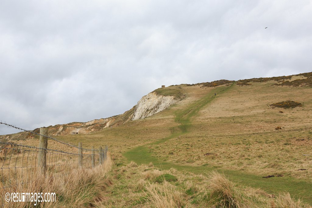 ds_071.jpg - Dorset, England