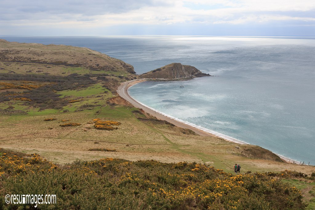 ds_090.jpg - Dorset, England