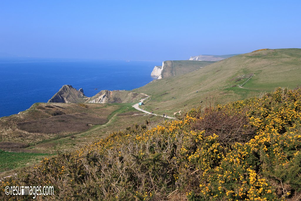 ds_156.jpg - Dorset, England