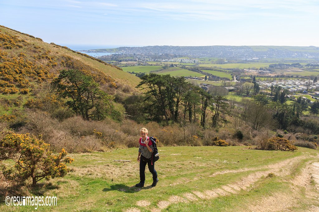 ds_281.jpg - Dorset, England