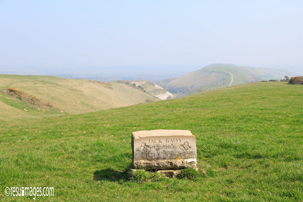 ds_330.jpg - Dorset, England