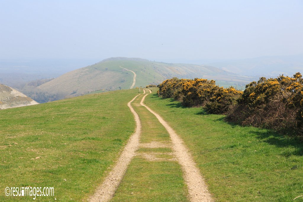 ds_340.jpg - Dorset, England