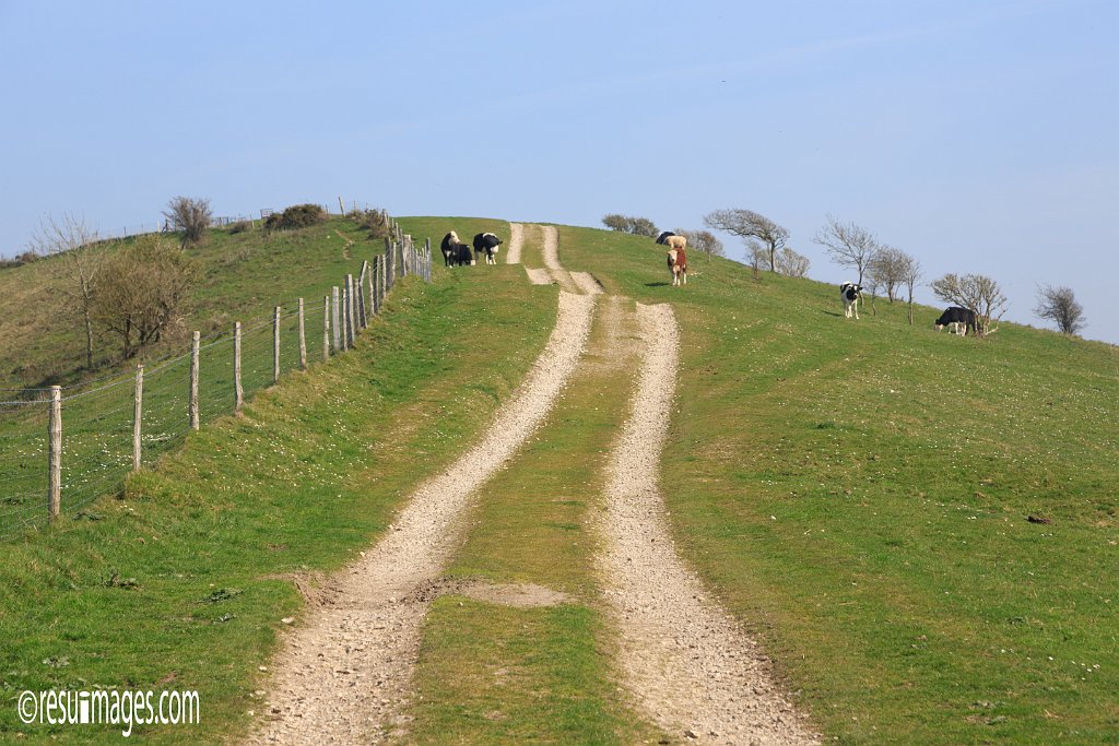 ds_348.jpg - Dorset, England