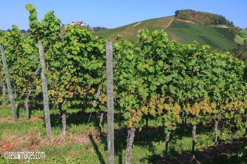 du_003.jpg - Durbach