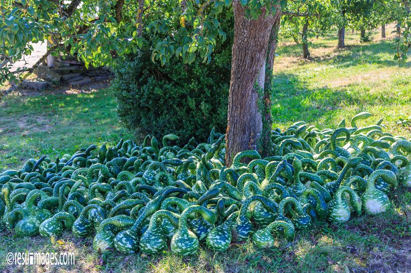 du_006.jpg - Durbach