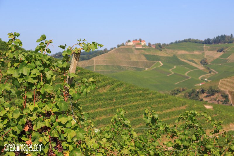 du_011.jpg - Durbach