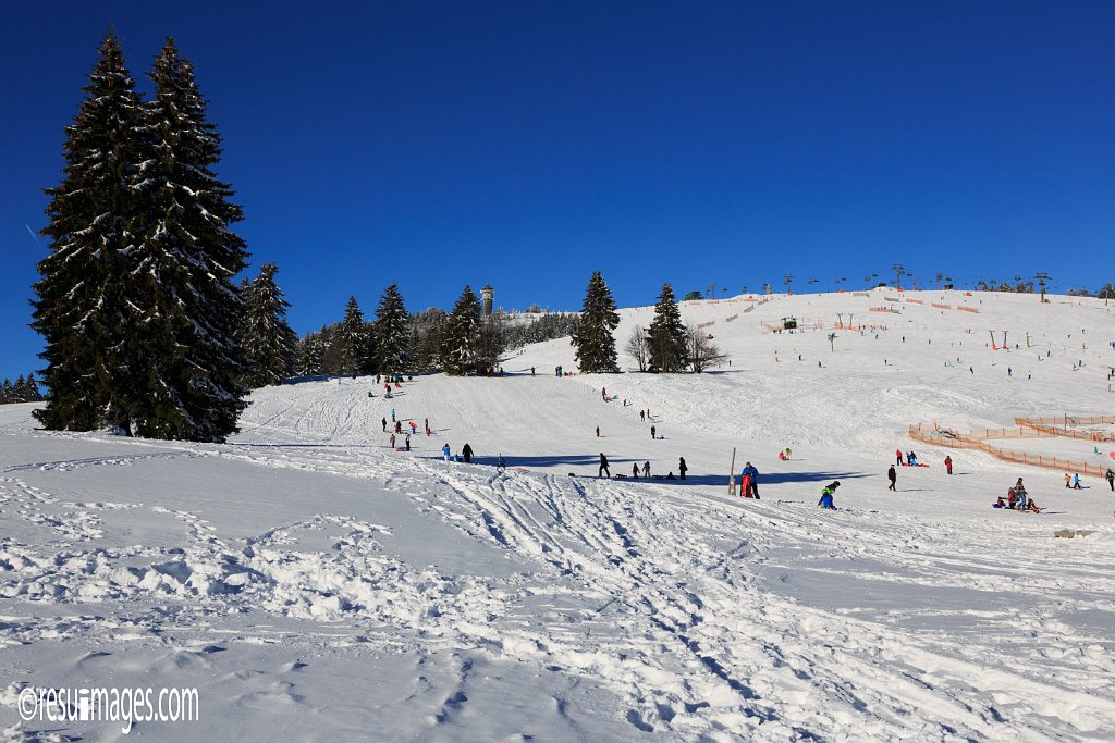 FDB_054.jpg - Black Forest