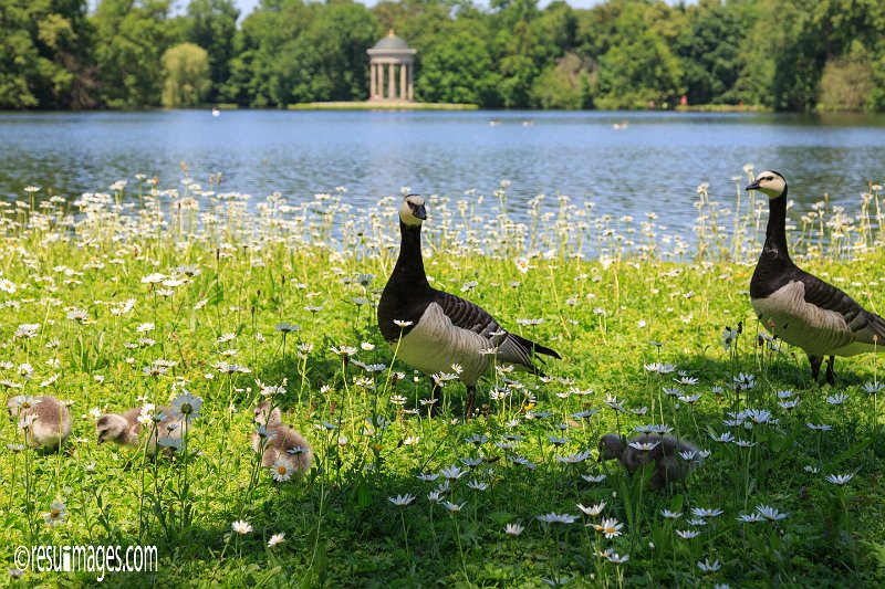 cc_046.jpg - München