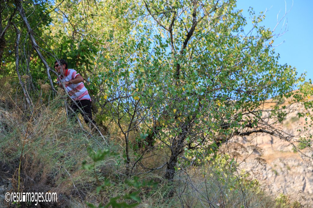 ge_277.jpg - Georgien