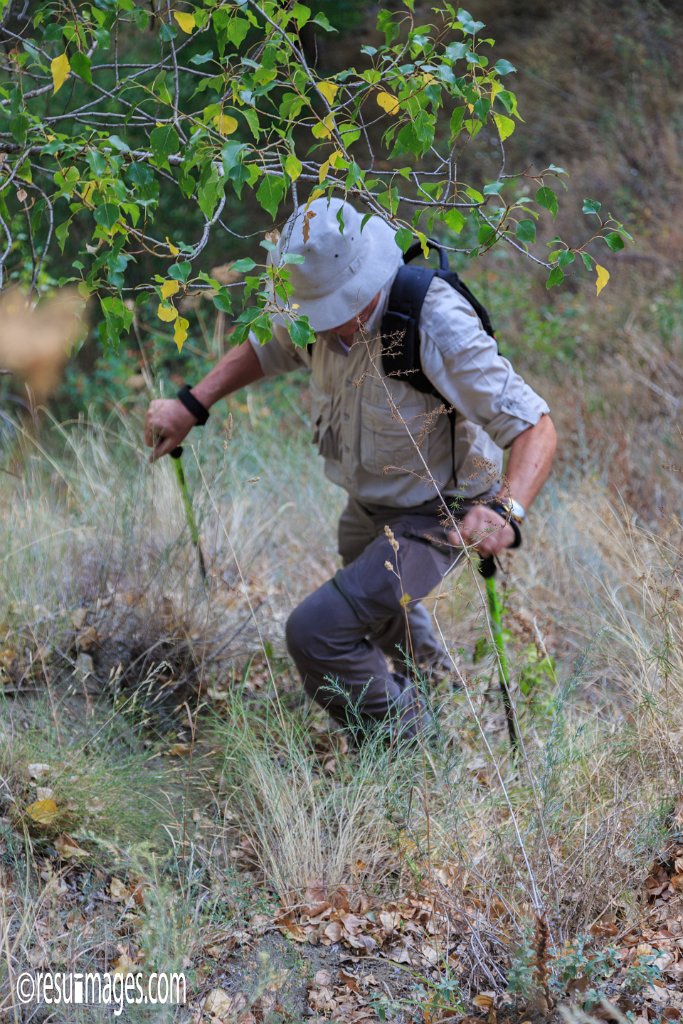 ge_280.jpg - Georgien