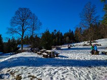 Bad Wildbad (14)