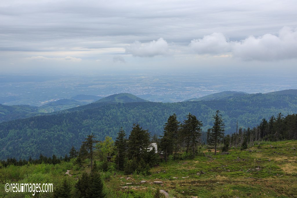 BF_022.jpg - Hornisgrinde | Schwarzwald