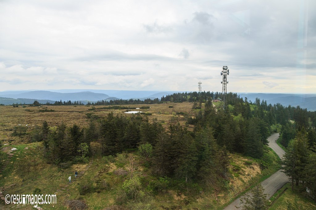 BF_025.jpg - Hornisgrinde | Schwarzwald