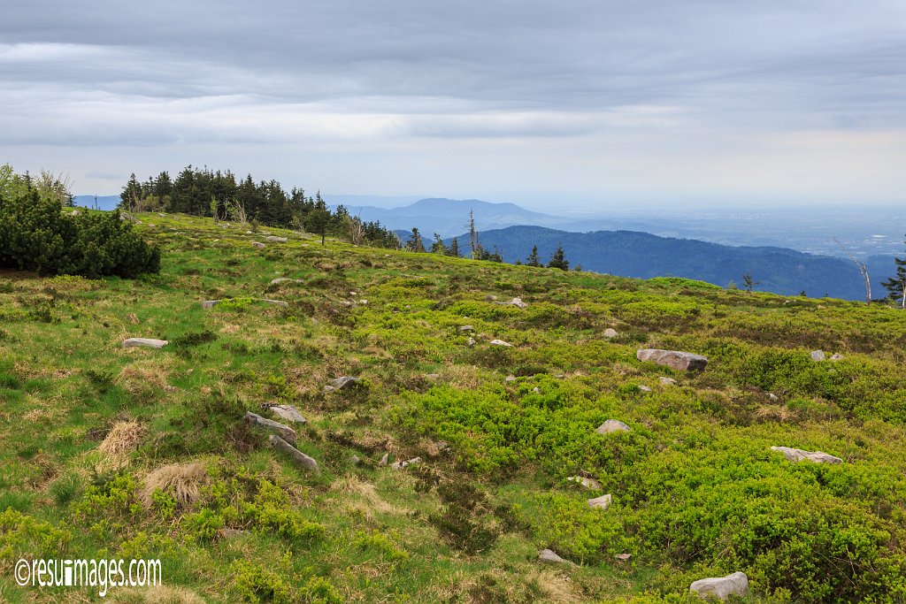 BF_031.jpg - Schwarzwald