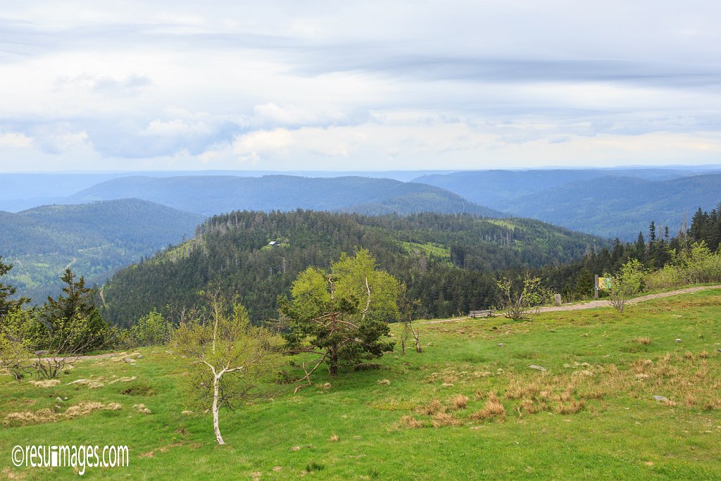 BF_036.jpg - Schwarzwald