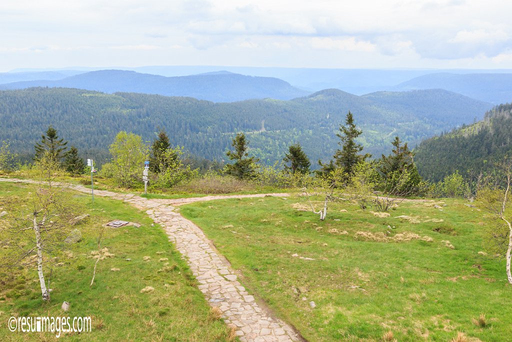 BF_037.jpg - Schwarzwald