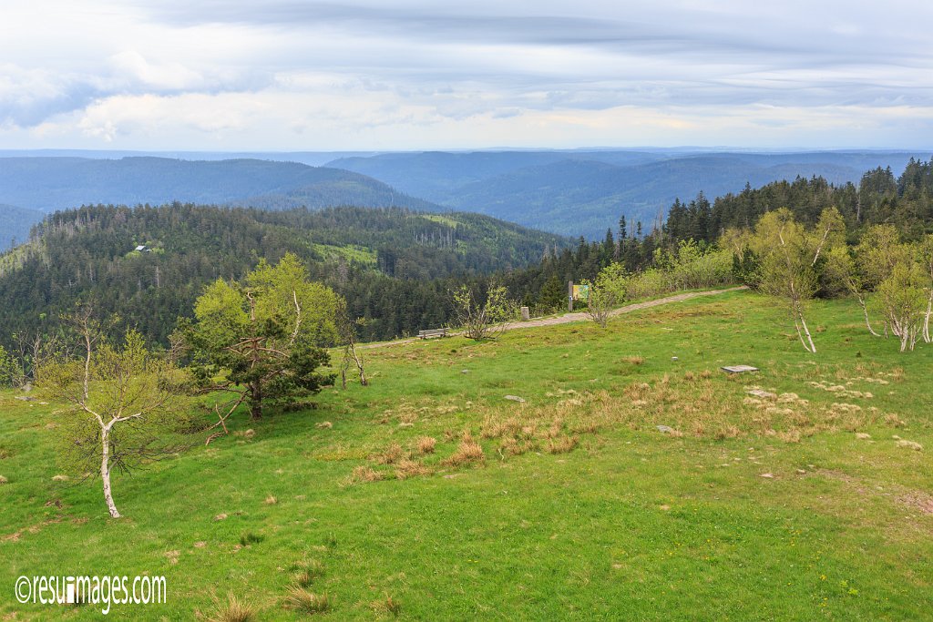 BF_038.jpg - Schwarzwald