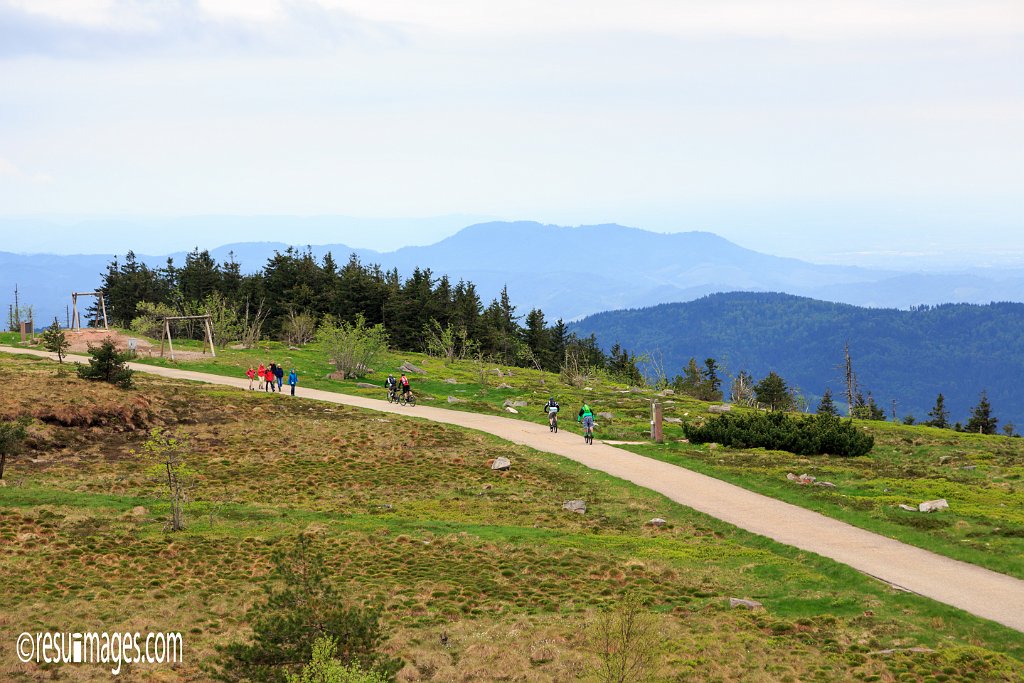 BF_042.jpg - Schwarzwald