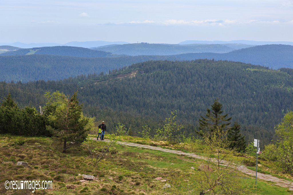 BF_044.jpg - Schwarzwald