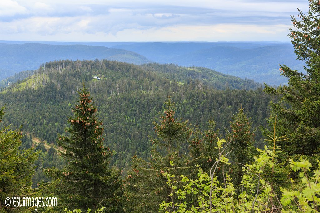 BF_045.jpg - Schwarzwald