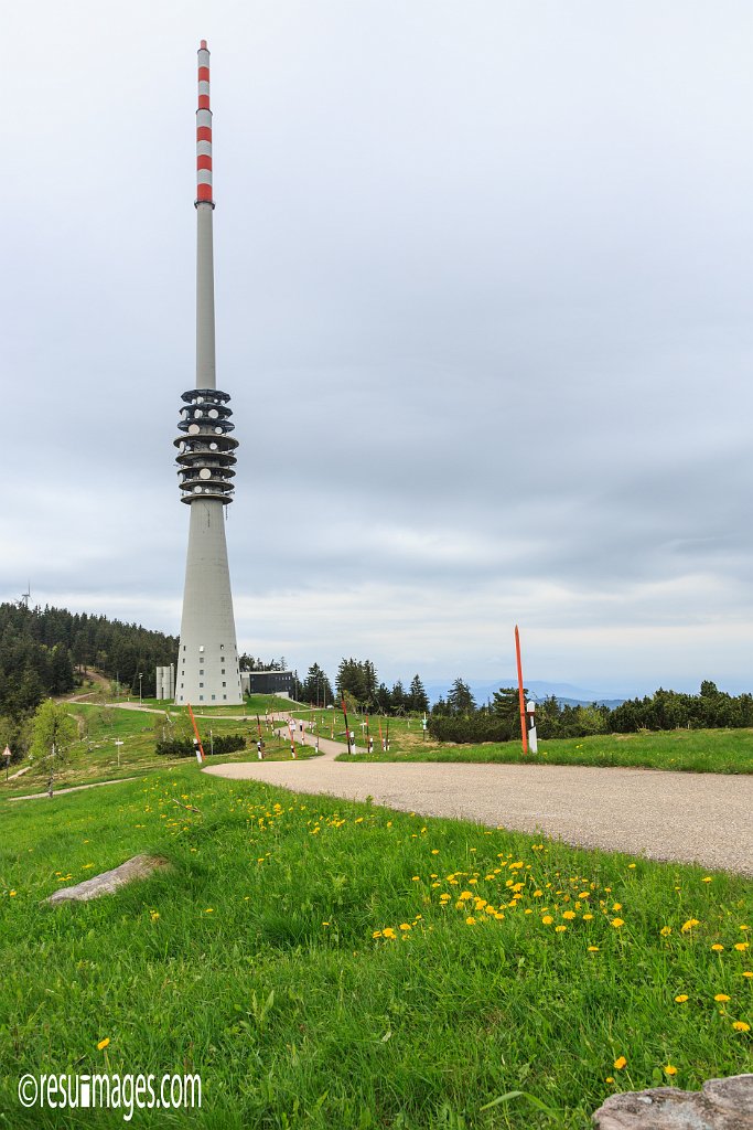 BF_060.jpg - Schwarzwald