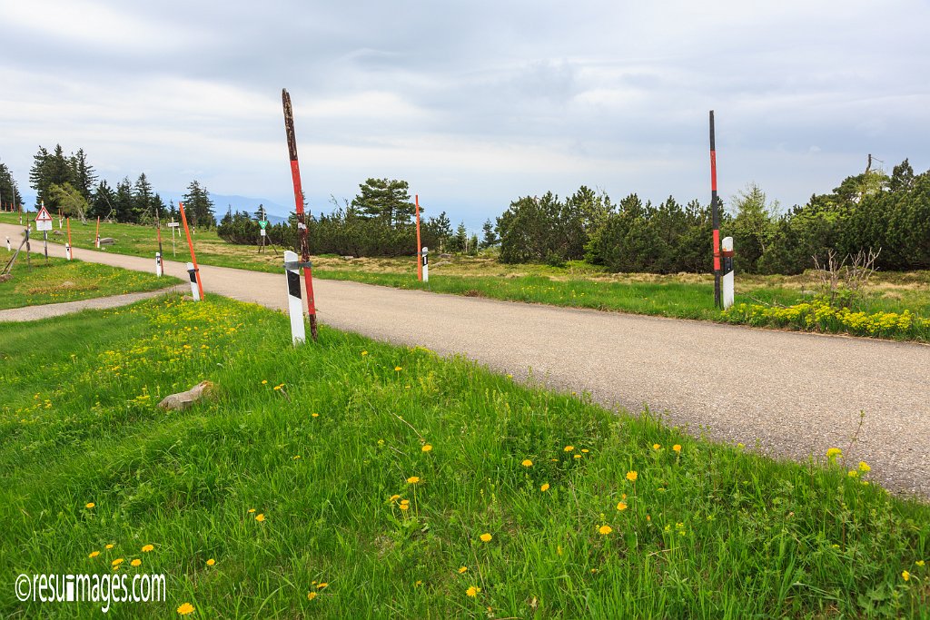 BF_061.jpg - Schwarzwald