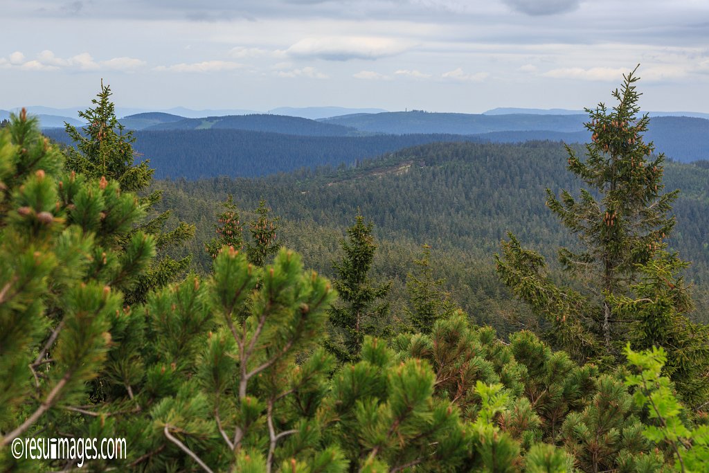 BF_065.jpg - Schwarzwald