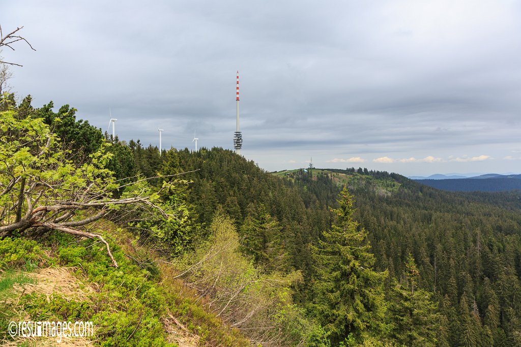 BF_068.jpg - Schwarzwald