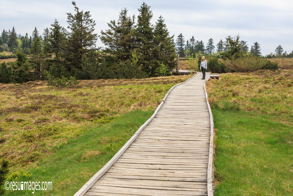 BF_072.jpg - Hornisgrinde | Schwarzwald