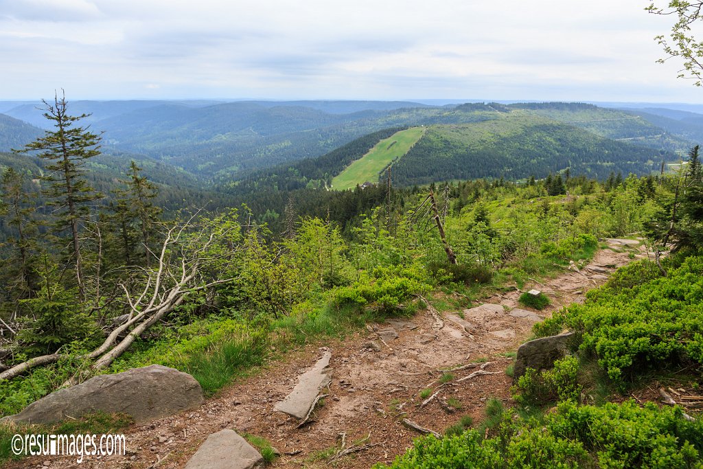 BF_080.jpg - Schwarzwald