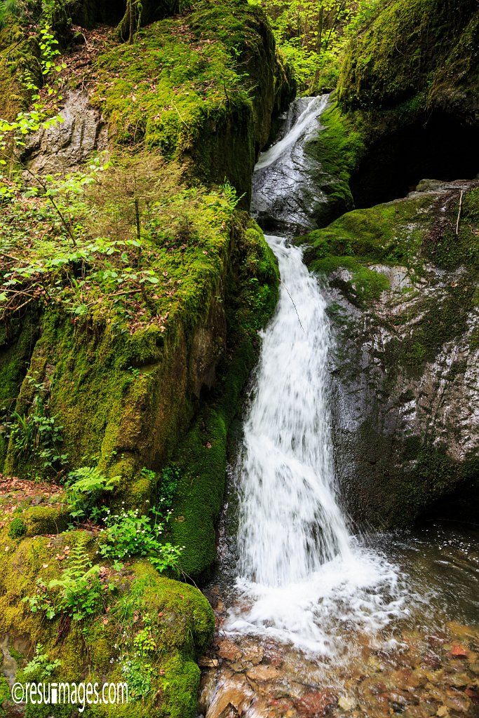 BF_091.jpg - Wasserfaelle | Schwarzwald