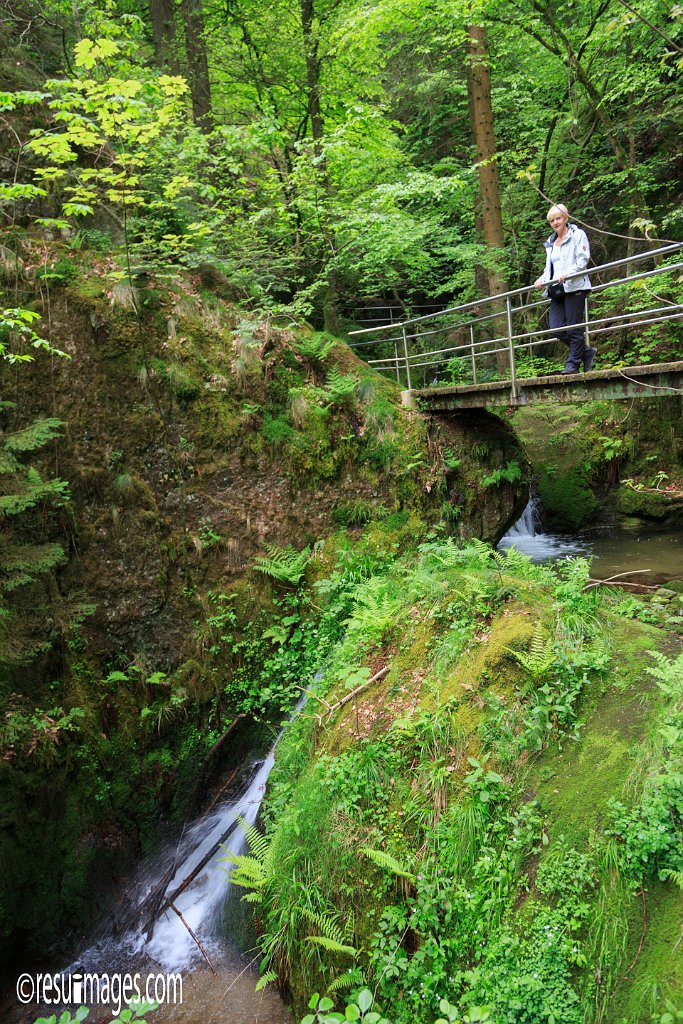 BF_097.jpg - Wasserfaelle | Schwarzwald