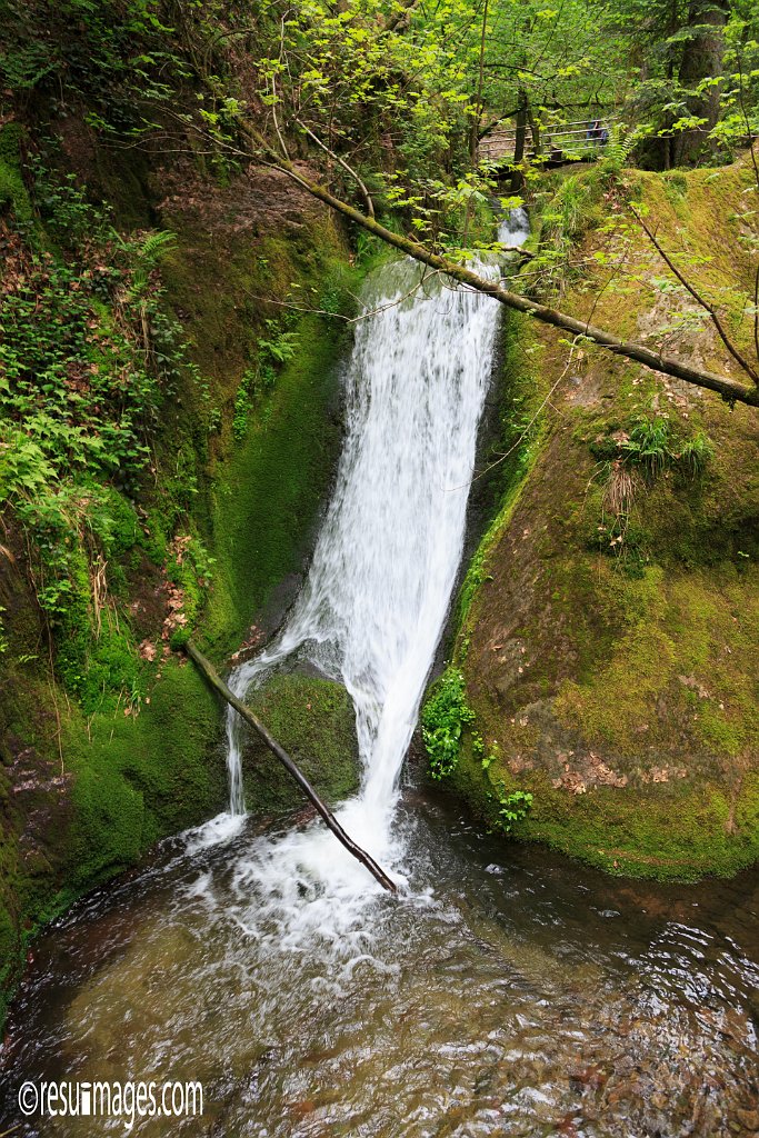 BF_103.jpg - Wasserfaelle | Schwarzwald