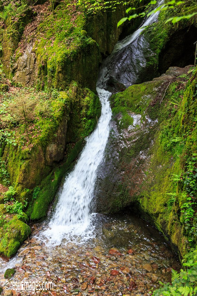 BF_107.jpg - Wasserfaelle | Schwarzwald