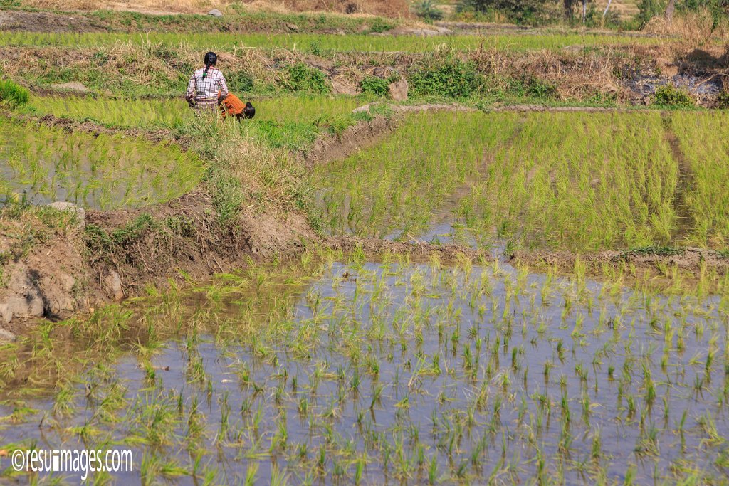 IN_2018_310.jpg - Sanapur